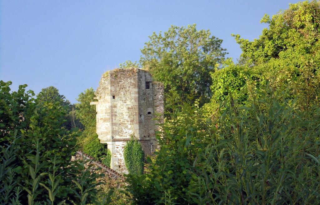 Château de la Chasse-Guerre Bed & Breakfast Hardanges Exterior foto