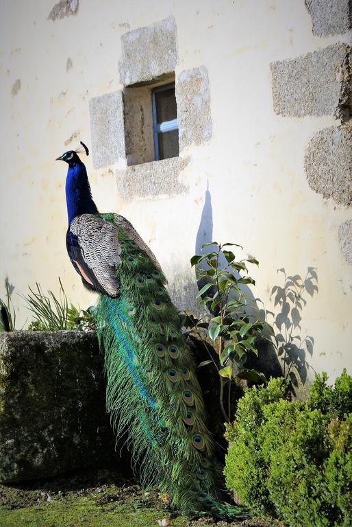 Château de la Chasse-Guerre Bed & Breakfast Hardanges Exterior foto